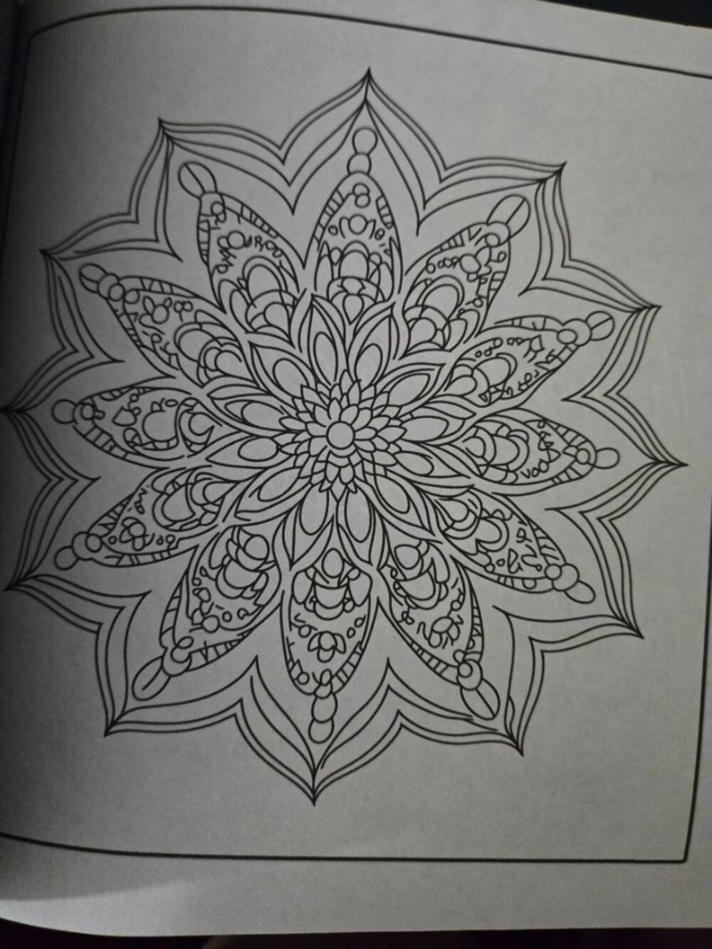 Intricate Mandalas Adult Coloring Book Alan Ritchie New Relaxation Meditation - Picture 7 of 8
